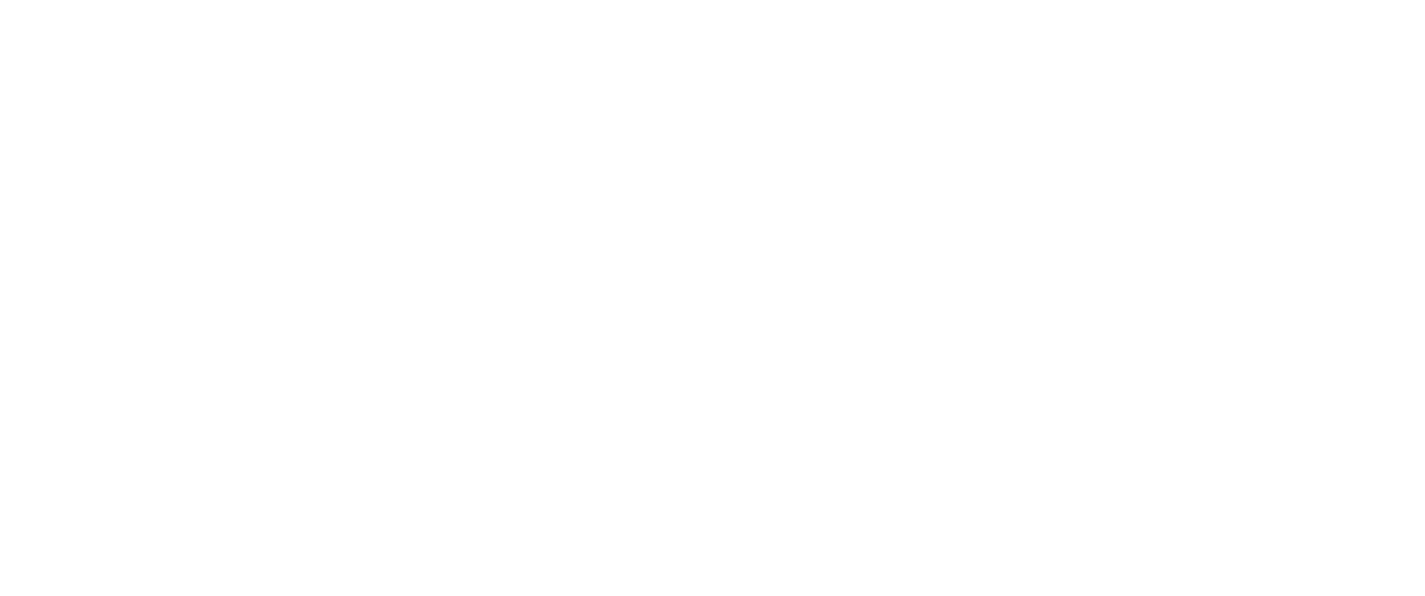 venicecom